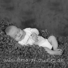 Baby billeder fotograf Slagelse