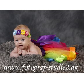 BABYstjerner  Mnedsbilleder