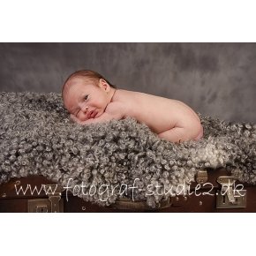 Billede af nyfdt - Fotograf