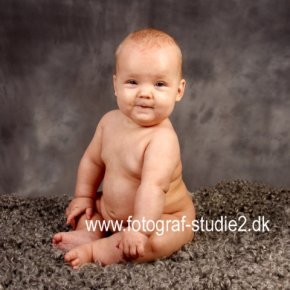 Babyfotografering Vemmelev