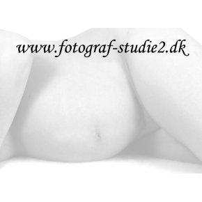 Fotograf Gravid