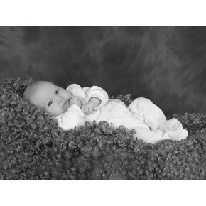 1. billede - fotograf