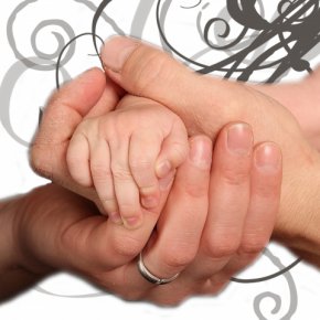 Hnder og fdder billeder