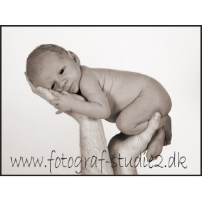 Nyfdt Slagelse Fotograf