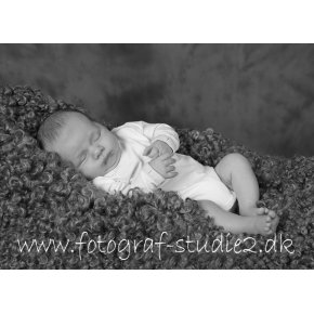Slagelse Fotograf Billeder af Nyfdt