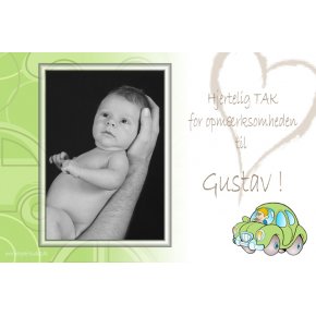 Baby Takkekort